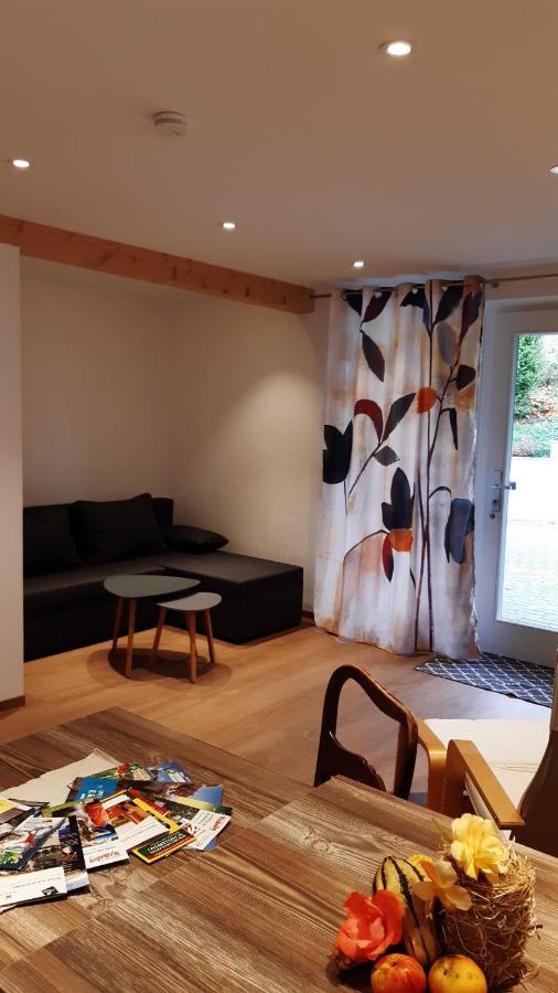 Apartamento Biohof Seifert Altenberg  Exterior foto